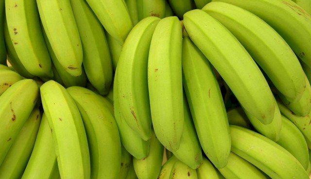 ESTUDO APONTA QUE COMER BANANA VERDE PODE AJUDAR NA PREVENÇÃO DE CÂNCER