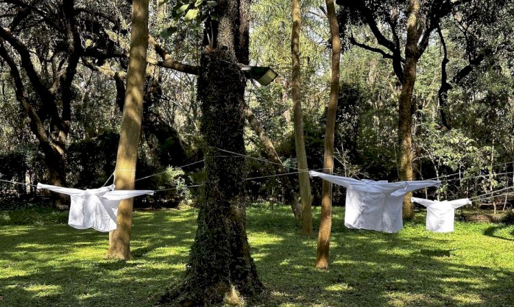 Evento inédito resgata conexão cultural para o Parque do Flamengo