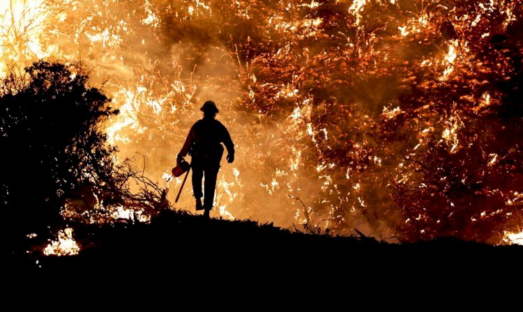 Metodologia com IA identifica focos de incêndio com antecedência