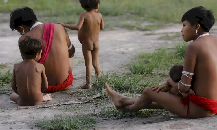 Forças Armadas levarão 15 mil cestas de alimentos aos Yanomami