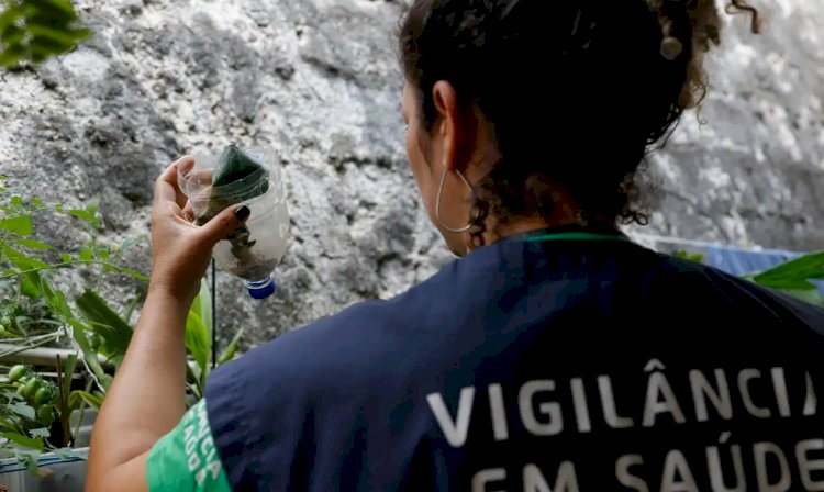 Com 32,3 mil casos prováveis, MG deve atingir pico da dengue em março