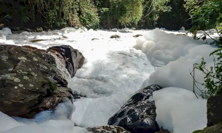 Geral Joinville decreta emergência após vazamento de ácido sulfônico