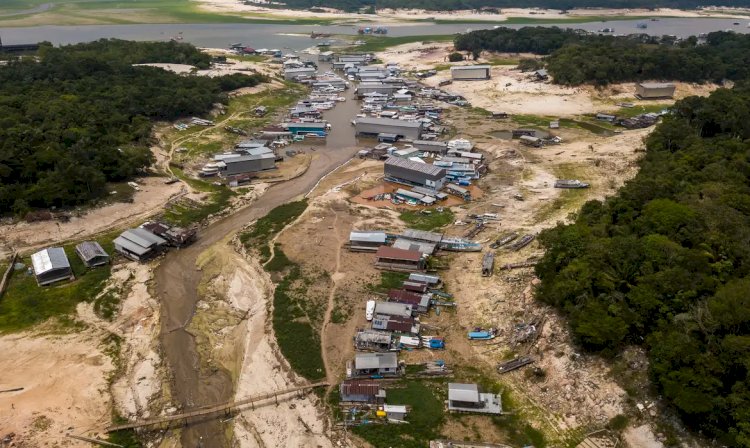 Crise climática: adolescentes levam ao papa demandas da juventude